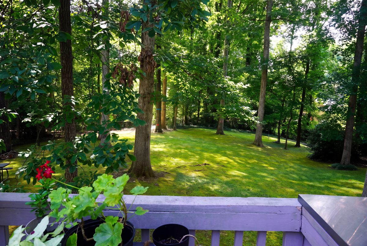 View from the deck overlooking the lush, private wooded backyard