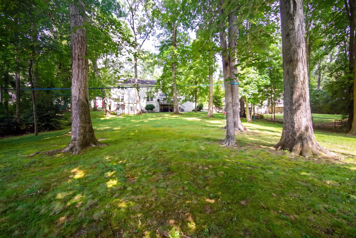 Expansive flat backyard lawn shaded by mature old-growth oak trees